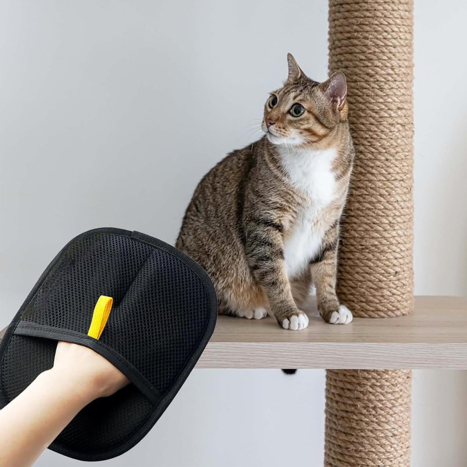 Magic Pet Hair Remover Gloves